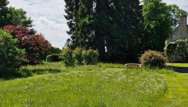 The Bungalow - Ardullie Lodge - Foto 3, Garden, Garden view