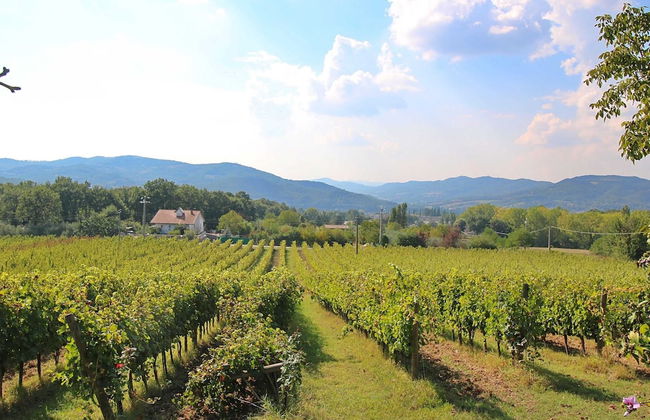 Farmhouse in Umbertide Near Golf Club - Foto 31