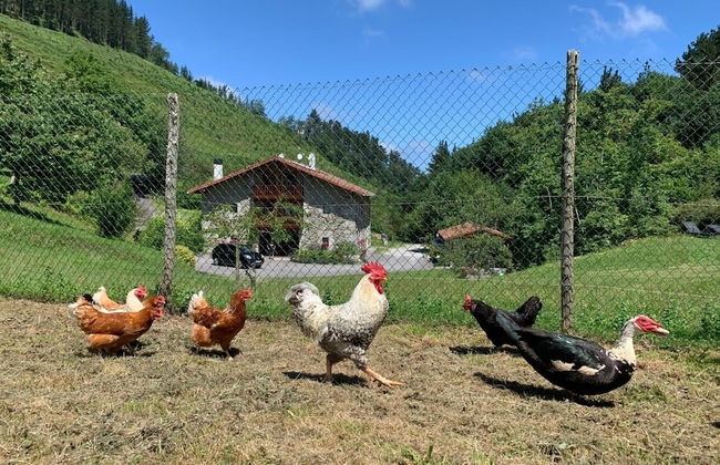 Agroturismo Urresti - Foto 46