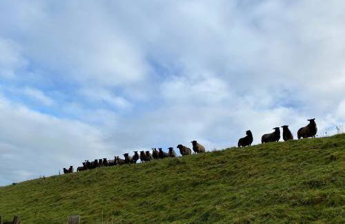 Deichkoje12 Deck 1 EG direkt am Eiderdeich nur 7 km bis zur Nordsee und 20 Min bis Sankt Peter Ording - Foto 22