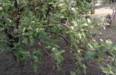 Casa Natur - Foto 22