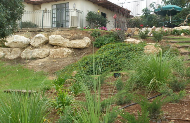 Shoresh Green Hills Family Suites Hotel - Foto 6