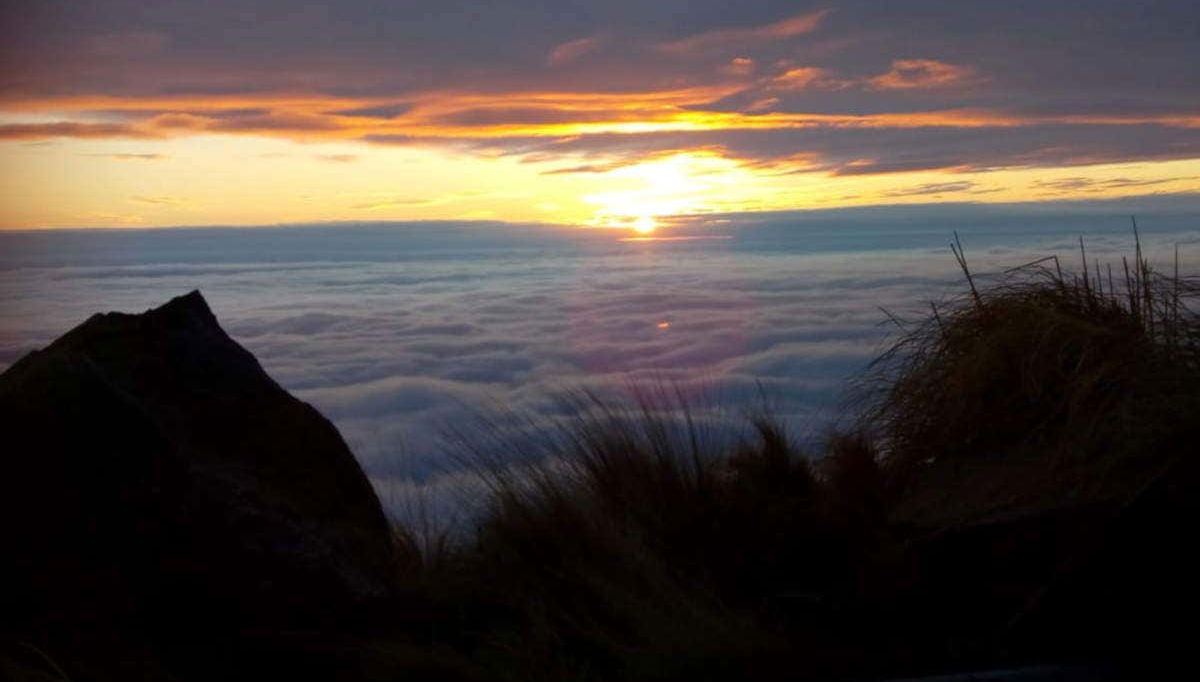 Tour in Merlo - Foto 1
