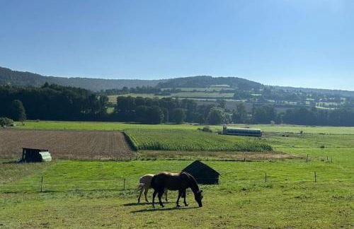 Ferienwohnung Krone 2 - Mernes - Foto 10