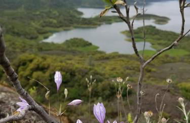 Cozy Mountain Cabin Yosemite Dodge Ridge Ski - Foto 41