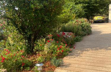 Apartman Villa Katrina - Photo 6