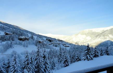 les craterelles - Foto 28