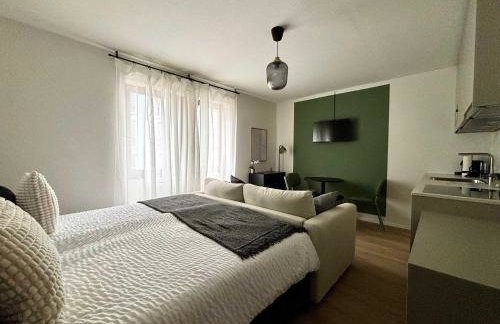 Beautiful Renovated Apartment in Lorrach - Photo 1