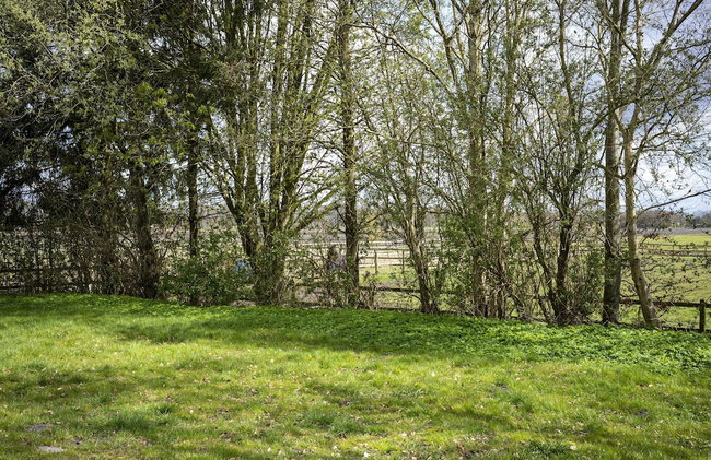 Holiday Home with Meadow View near Forests - Photo 36