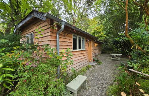 Pinetum Garden Cottages - Foto 108