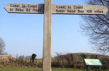 Black Bull Barn - Photo 16