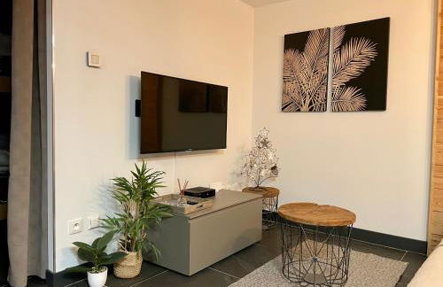 Studio neuf et chaleureux - Foto 3