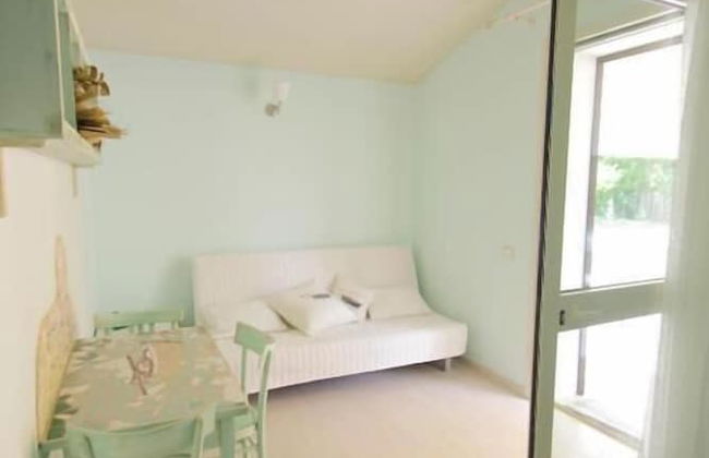 Lucciole nella nebbia - Foto 13