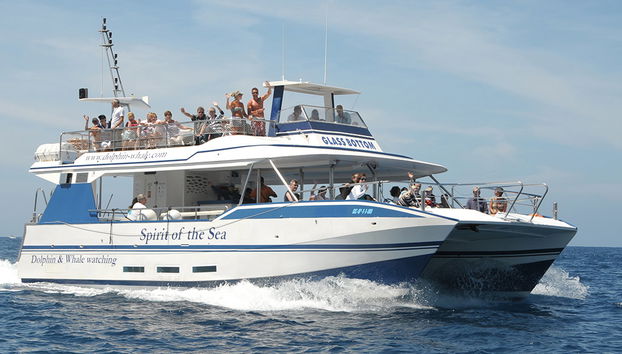 Spirit of the Sea cruise with transfer - Photo 2