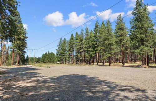 Forest Escape - Foto 48