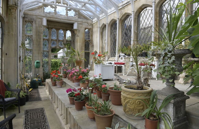 The Orangery Apartment - Foto 9