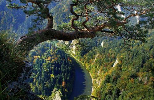 Apartamenty u Grażyny - Foto 29