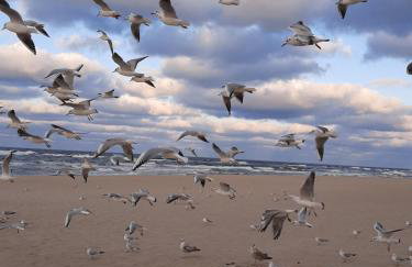 Apartament Słoneczny - Foto 33