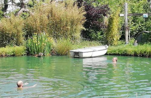 Sapphire forest garden shepherd’s hut - Foto 26