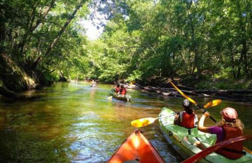 Paisible maison entre plages, lacs et bassin - Foto 22