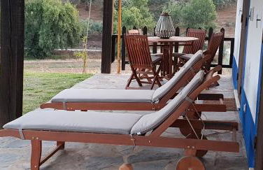 Herdade Ribeira de Borba - Foto 21