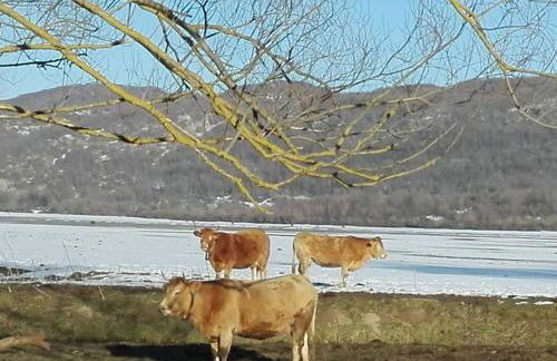Il Borgo della Zittola - Foto 46