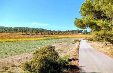 Au coeur des vignes, à deux pas de la mer - Foto 7