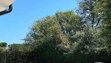 Albarella Family Villa with Private Pool and Garden - Foto 5