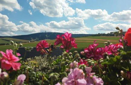 Ferienwohnung Familie Leupold - Foto 32