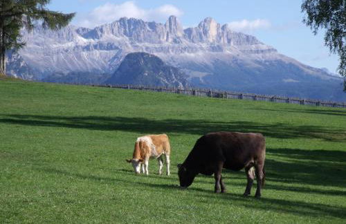 Unterpfaffstall-Hof - Foto 57