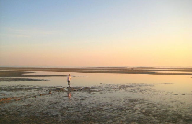 Westerheide Modern Retreat - Foto 18