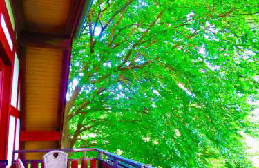 Natururlaub Frankenau - Foto 10