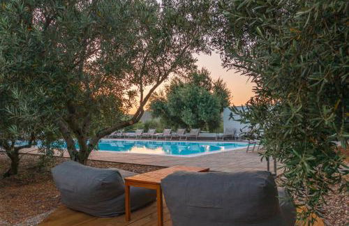 Armandiola - Foto 47