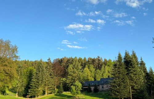 Apartment im Wald - mit Schwimmbad! - Foto 47