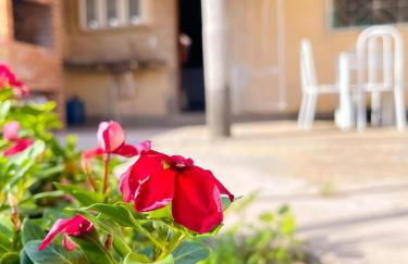 casa amarela trairi flecheiras - Foto 7