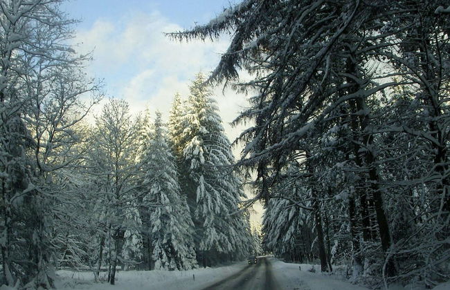 Luxurious Holiday Home in Courtil with Hot Tub - Photo 40