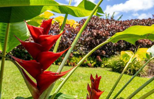 2 Mi to Hana Hwy Haiku Home with Ocean Views! - Foto 38