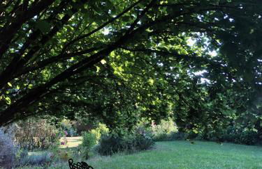 Tuscia Castle Apartments - Foto 27