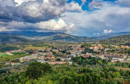 Quinta de Silharezes, Lda - Foto 49