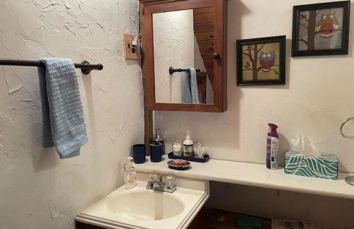 Rustic Mountaintop Cabin on small farm with WiFi - Foto 26