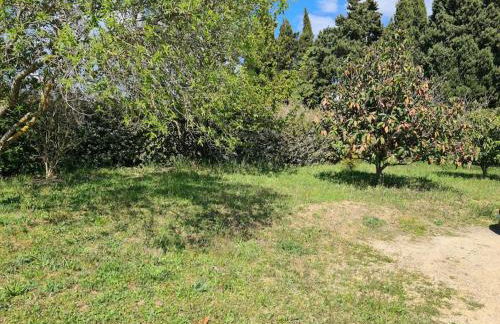 Belle maison avec piscine - Foto 10