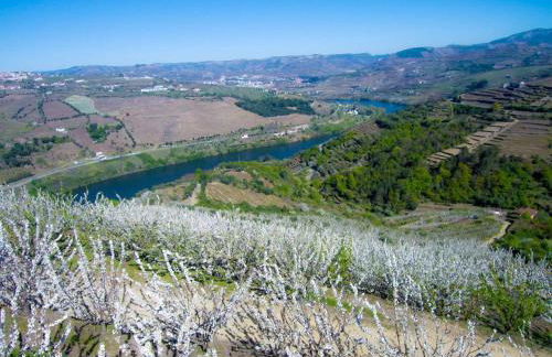 Quinta do Pombal Douro - Foto 46