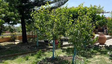 Village Guest House - Foto 4