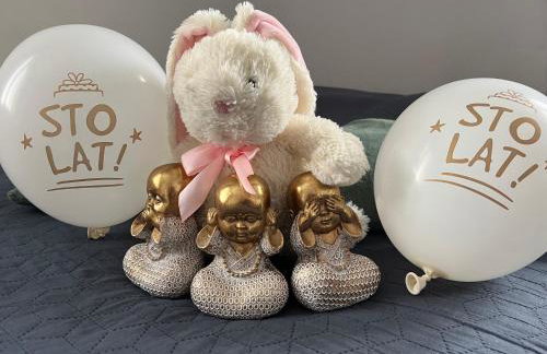 Apartament przy Parku Czartoryskich - Faktury VAT - parking - Foto 3