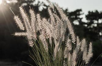 PATHOS Private Villas - Adults Only - Foto 52