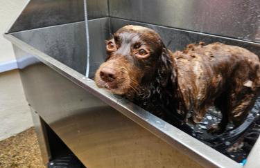 Spacious Farmhouse between St Agnes & Porthowan - Foto 35