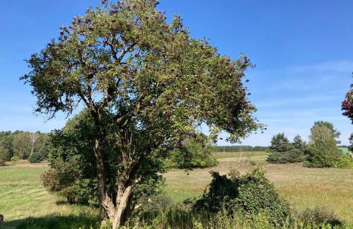 Ferienhaus Im Spreewald - Foto 9