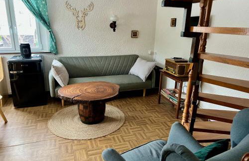 Urige Berghütte mit Kamin und Sauna im Erzgebirge nahe Schwarzwassertal - Foto 14