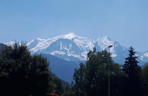 résidence Le Platé - Foto 13