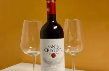 Pretty apartment next to Chianti and Florence - Foto 3